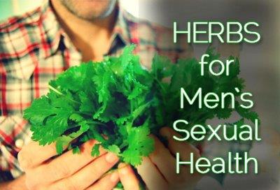 Herbs for Mens Sexual Health