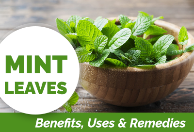 Benefits of Mint
