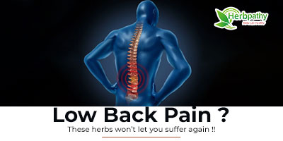 Low-Back-Pain--Underlying-Cause-and-Treatment